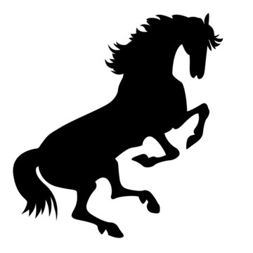silhouette horse on white background