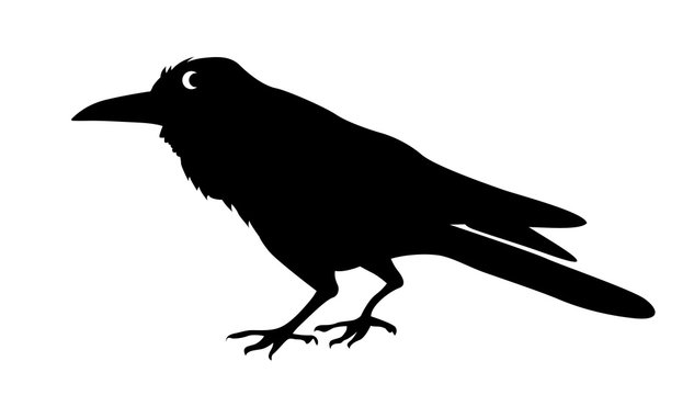 silhouette ravens on white background