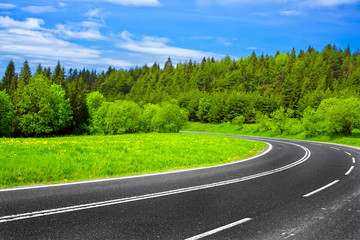 Fototapeta premium Road and green nature