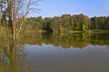 Obraz premium Pond