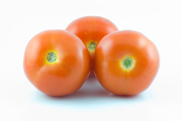 tomato isolated on white