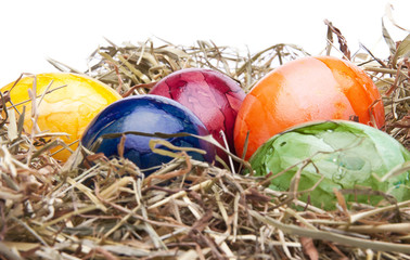 easter egg green nest white