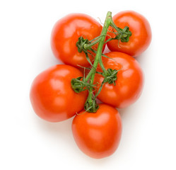 Tomatoes isolated on white background