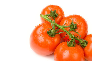 Tomatoes isolated on white background