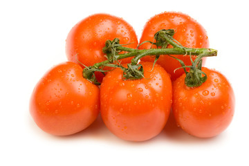 Tomatoes isolated on white background