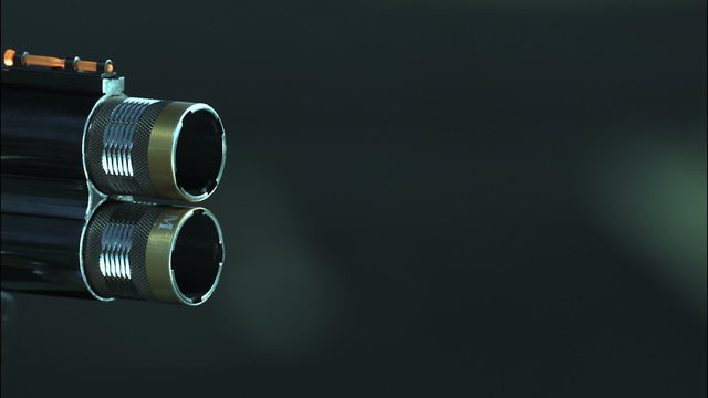 shot from a gun. Skeet