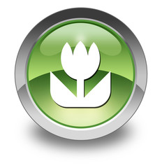 Green Glossy Pictogram 