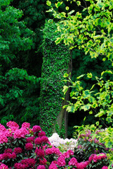 Fototapeta premium botanical,garden