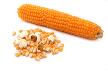 pop corn