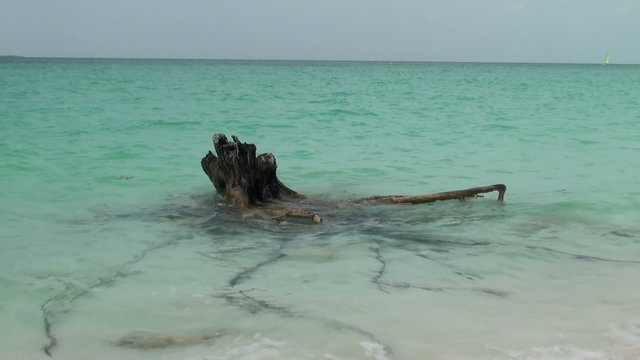 emerald sea and sawyer