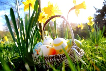 Easter basket in Sunshine