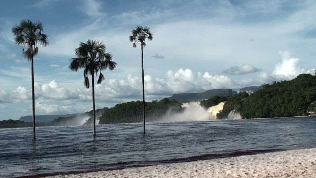 Three palms and waterfalls in Canaima NP