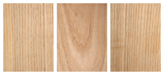 Ash Tree Wood Texture