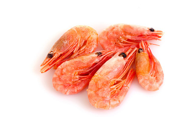 fresh shrimp isolated on white