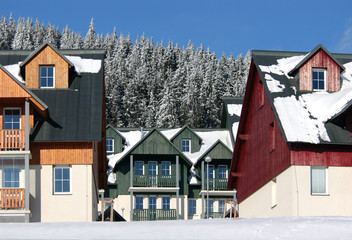 Ski Resort Hotels