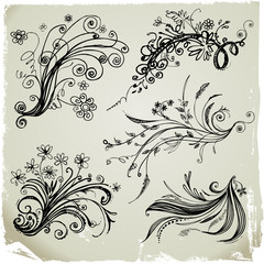 Set of hand draw floral elements.