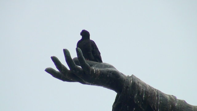 The pigeon on the palm of the monument