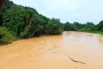 Zelfklevend Fotobehang Brown river in the jungle © pwollinga