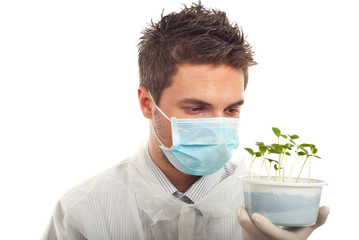 Researcher man holding new cucumber plants