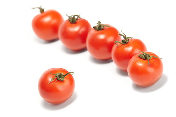 fresh tomatoes