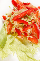 fresh vegetable salad