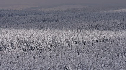 Winterlandschaft