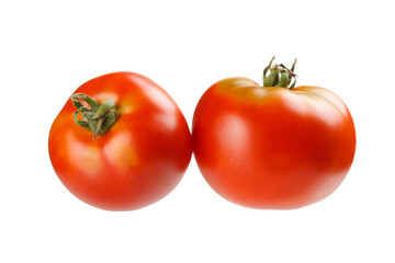 fresh tomatoes on the white background