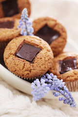 muffins