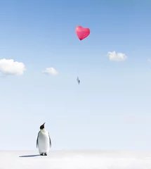 Crédence de cuisine en verre imprimé Pingouin Avec amour