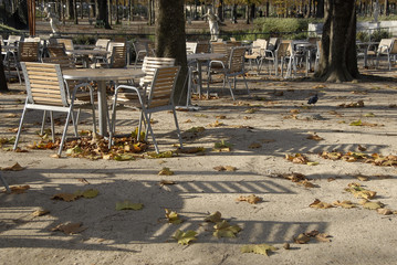 paris tuileries