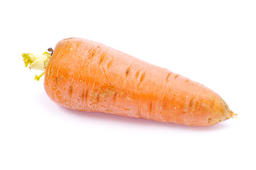 carrots