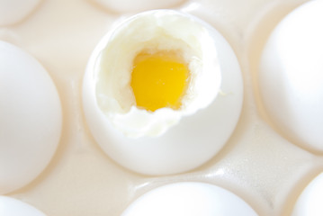 eggs