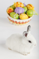 White Easter bunny with painted eggs in a basket