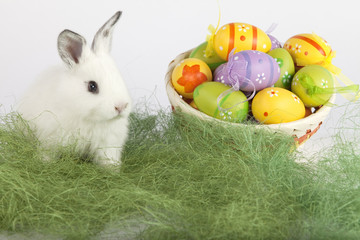 Easter eggs and a cute bunny on grass