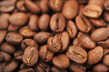 coffee beans