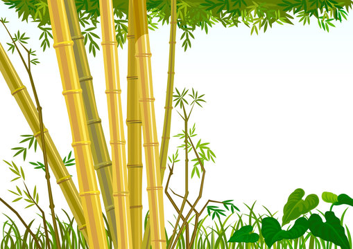 BAMBOO TREES ORIENTAL BACKGROUND - NEW