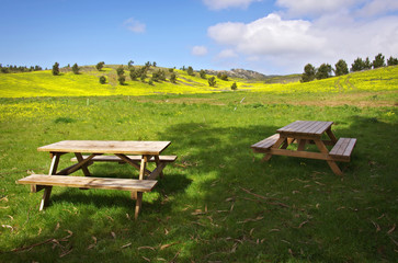 Picnic tables