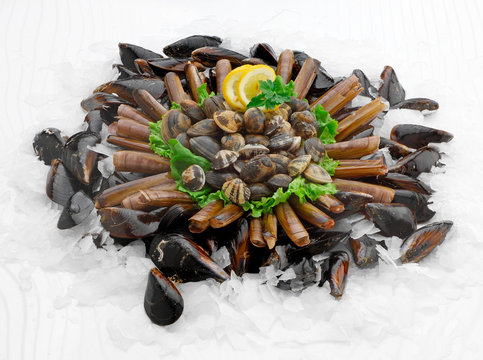 Cozze, vongole, cannolicchi sul ghiacchio
