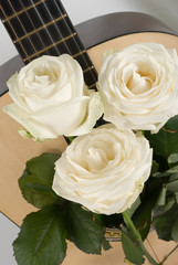 White roses, guitar
