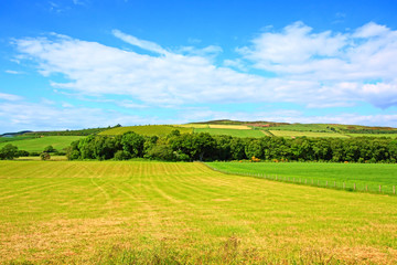 Sunny landscape with fields and blue sky