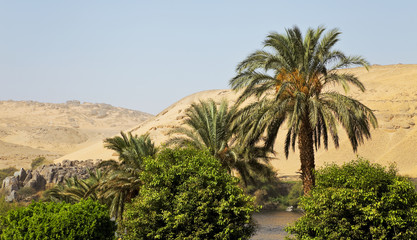 Fototapeta na wymiar Egyptian landscape