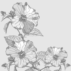 Design floral element. Vector illustration.