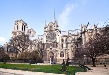 Obraz premium The famous Notre Dame in Paris