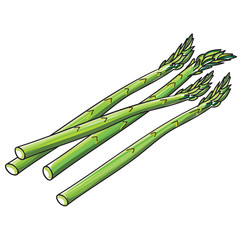 asparagus spears