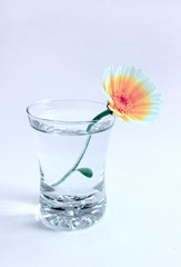 Beverage