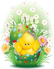 Pasqua Pulcino e Uova Decorate-Cute Easter Chick in Egg-2