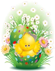 Papier Peint photo Dessiner Pasqua Pulcino e Uova Decorate-Cute Easter Chick in Egg-2