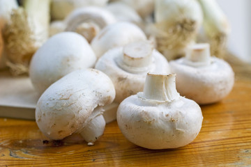 champignons