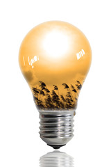 Light bulb environment 4