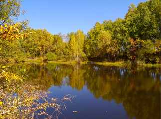 Fototapeta premium Autumn day at wood lake